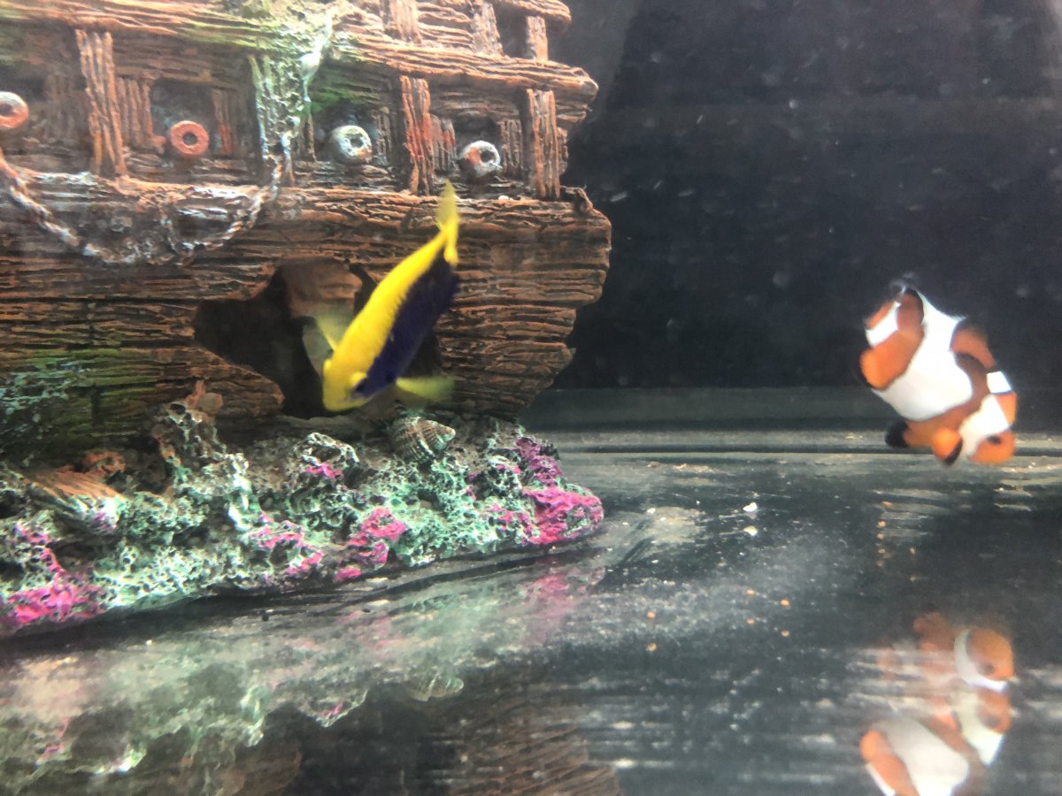 upload_2019-3-20_12-2-27.jpeg