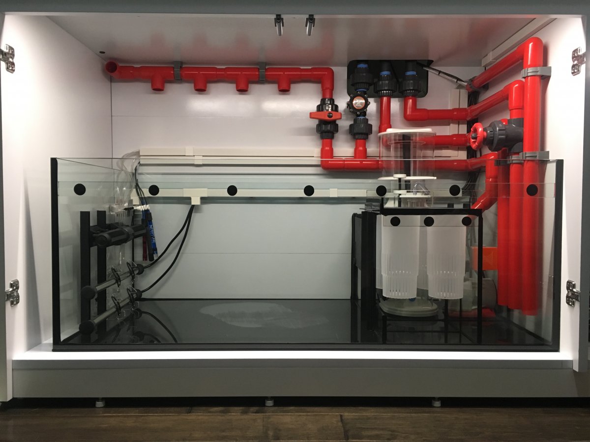 Hard Plumbing Red Sea Reefer V3 Sumps Help Anyone Done This Reef2reef Saltwater And Reef Aquarium Forum