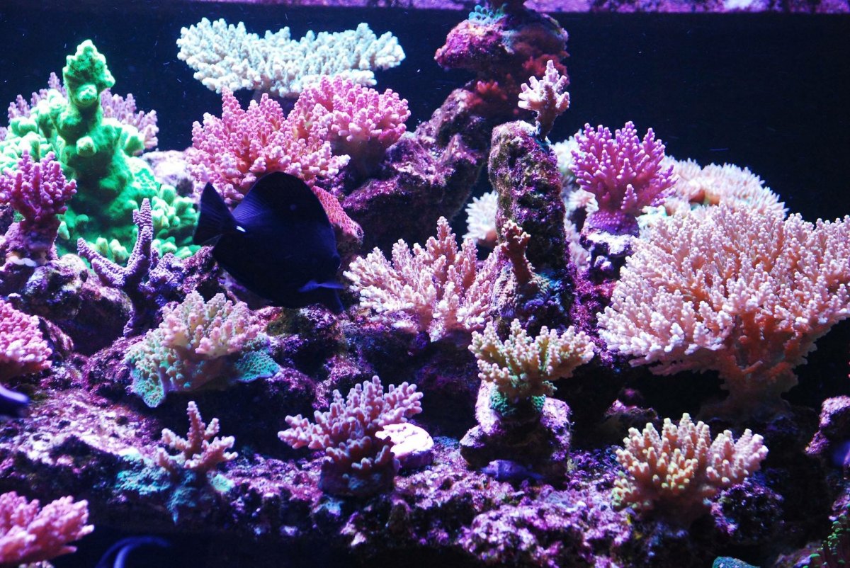 upload_2019-4-1_7-2-9.jpeg