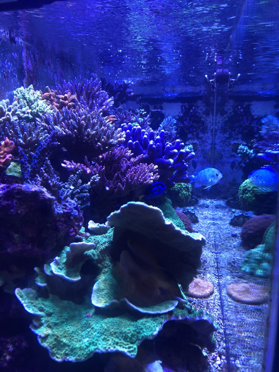 upload_2019-5-8_16-46-29.jpeg