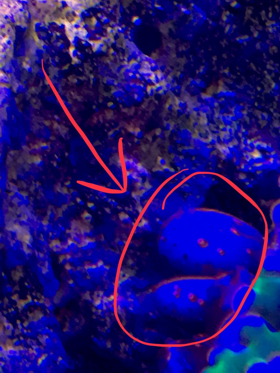 upload_2019-6-25_8-57-48.jpeg