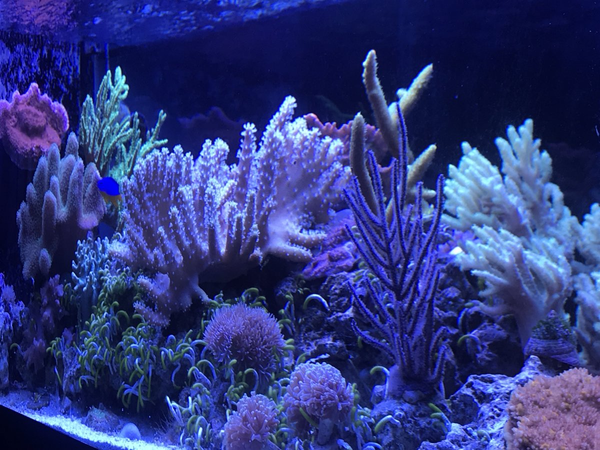 upload_2019-7-9_21-15-27.jpeg