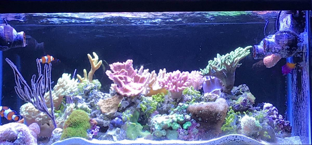 upload_2019-7-9_21-16-44.jpeg