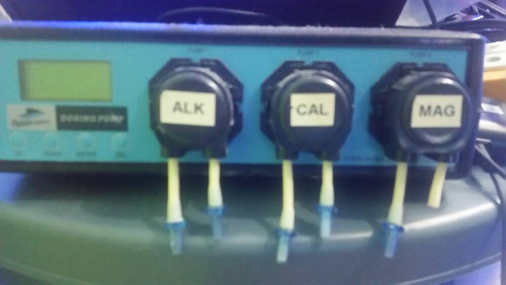 uploadfromtaptalk1453414058367.jpg