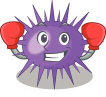 urchin.jpg
