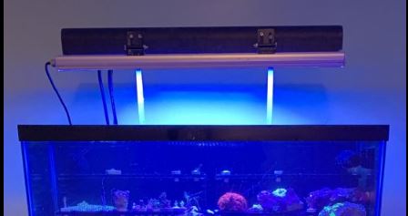 UV2.JPG