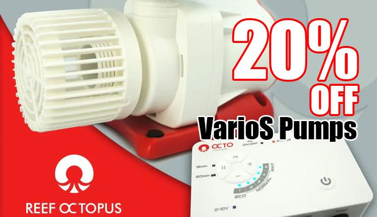 varios.jpg