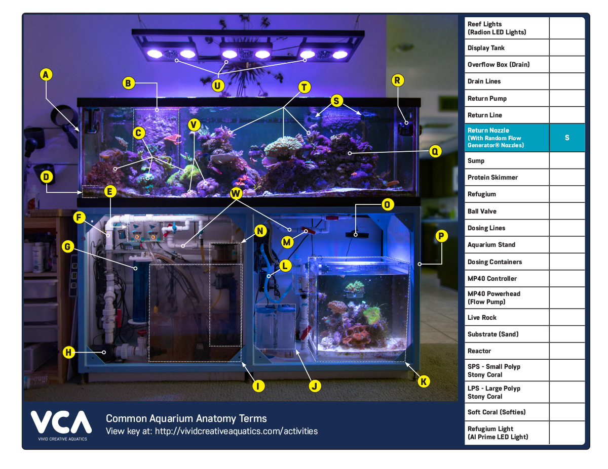 VCA-Aquarium-Terms.jpg