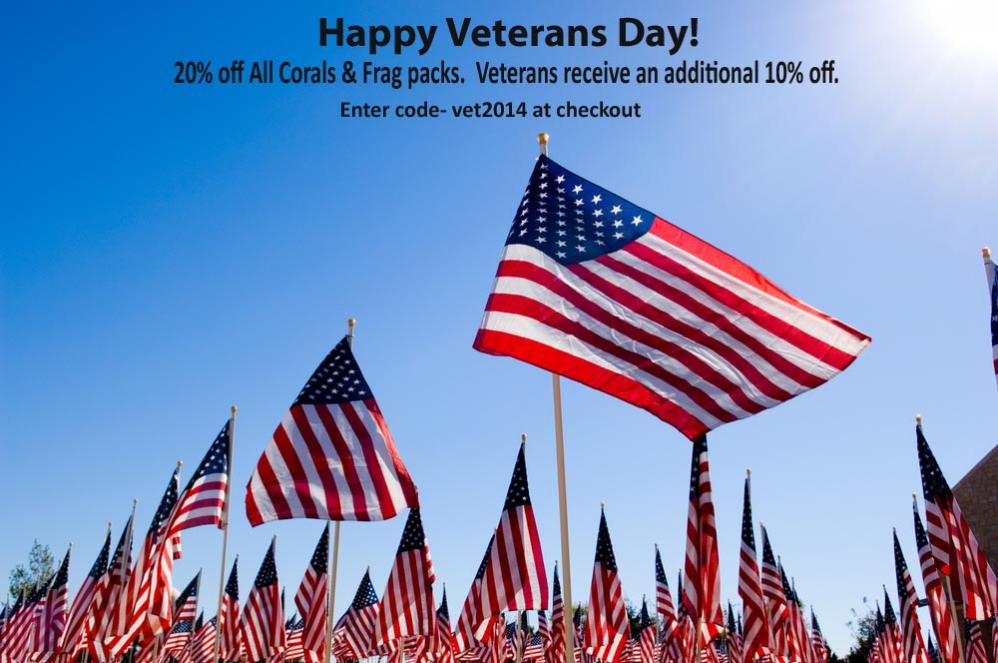 Veterans Day 2014-discount copy.jpg