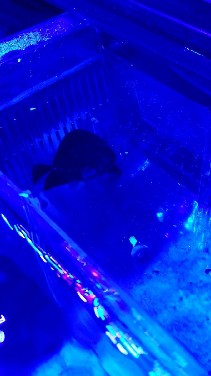 VideoCapture_20190511-224740.jpg