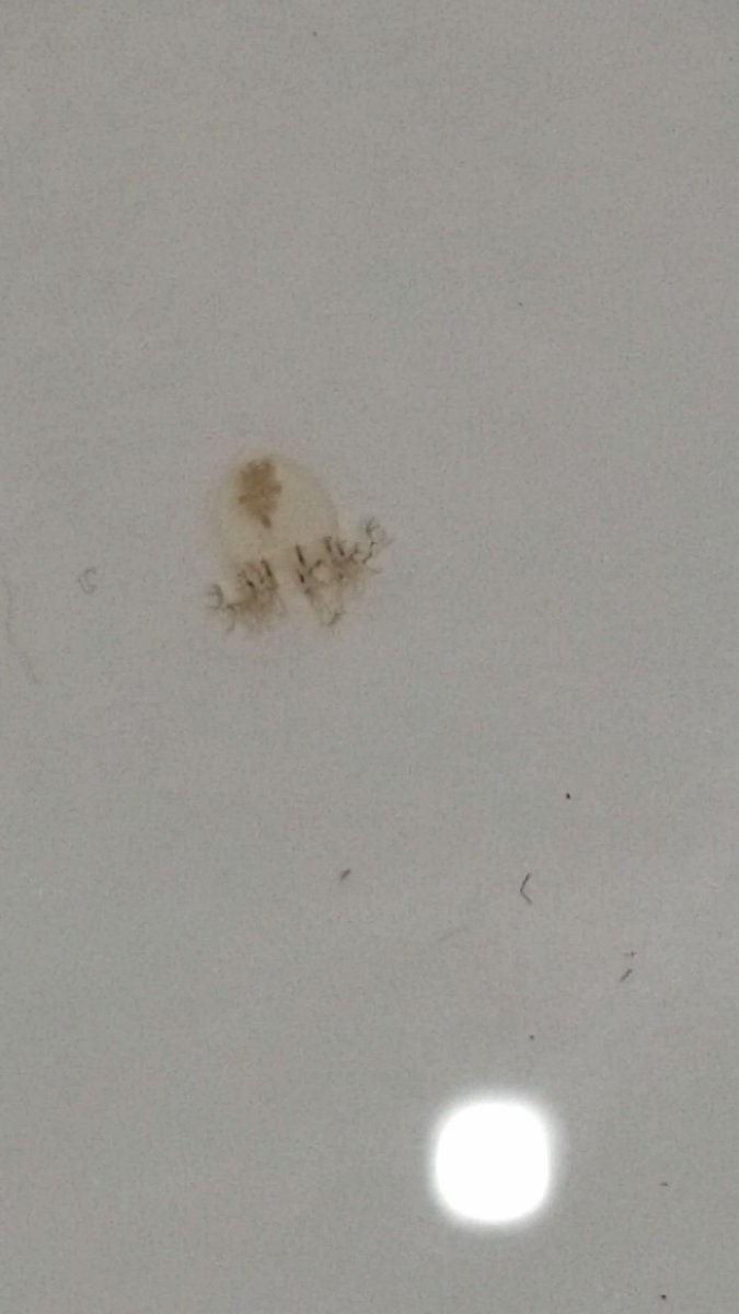 VideoCapture_20190613-091109.jpeg