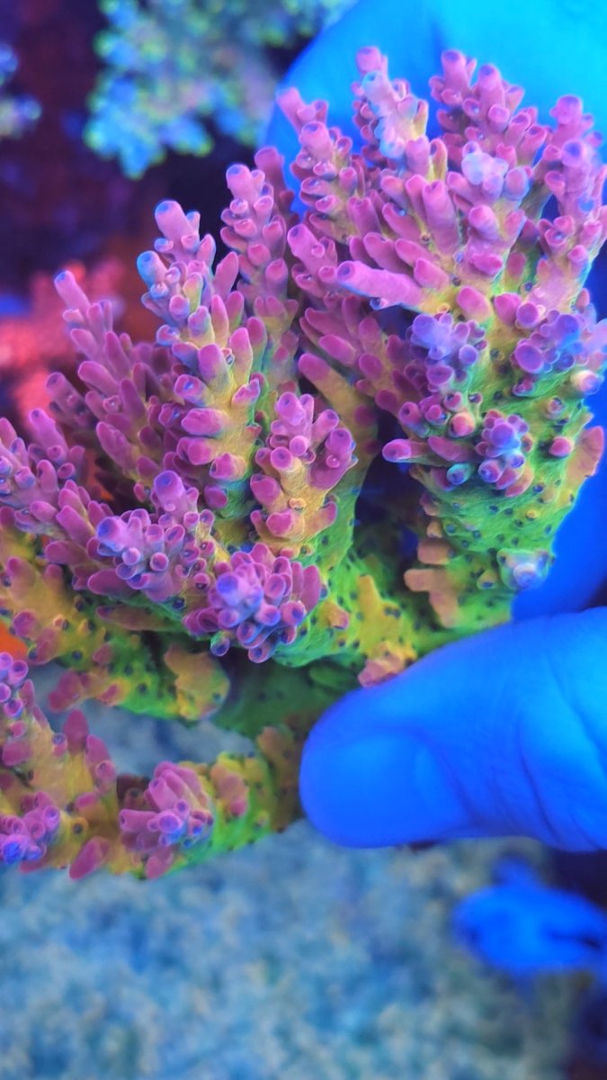 VideoCapture_20240311-223820.jpg
