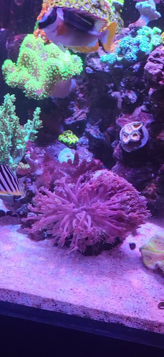 VideoCapture_20240331-020702.jpg