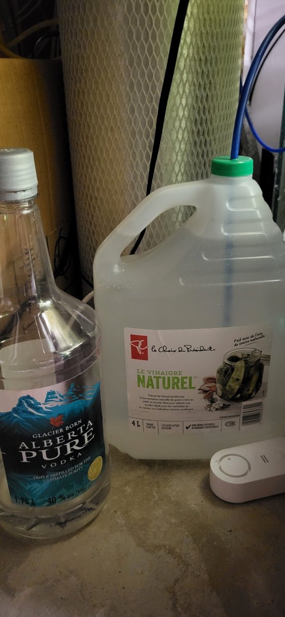 vinegar.jpg