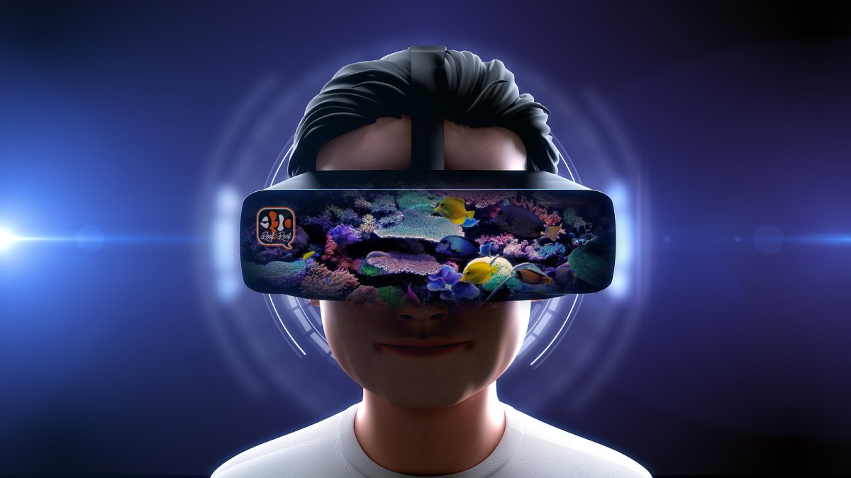VR reef.jpg