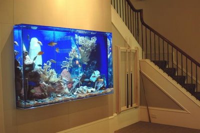 Complex in wall stand ideas  REEF2REEF Saltwater and Reef Aquarium Forum