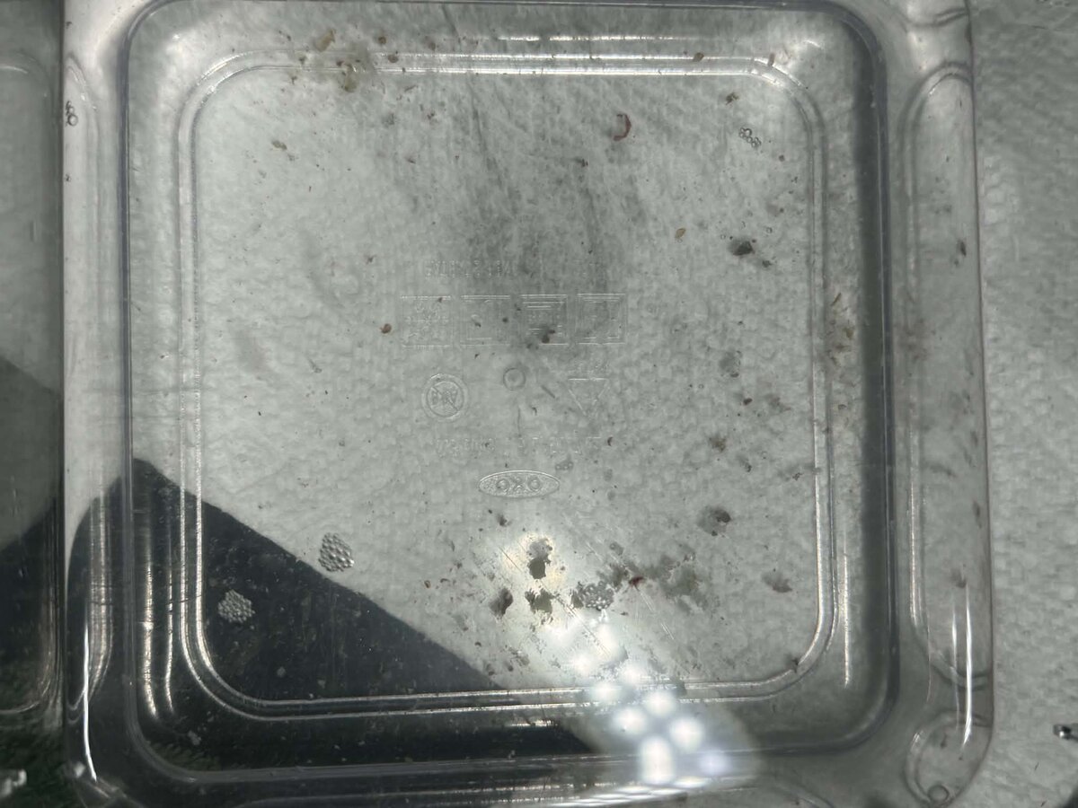 waste.jpg