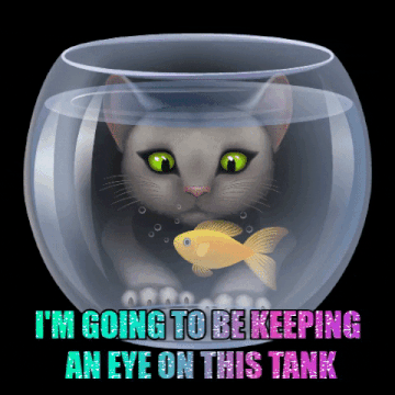 Watching Tank.gif