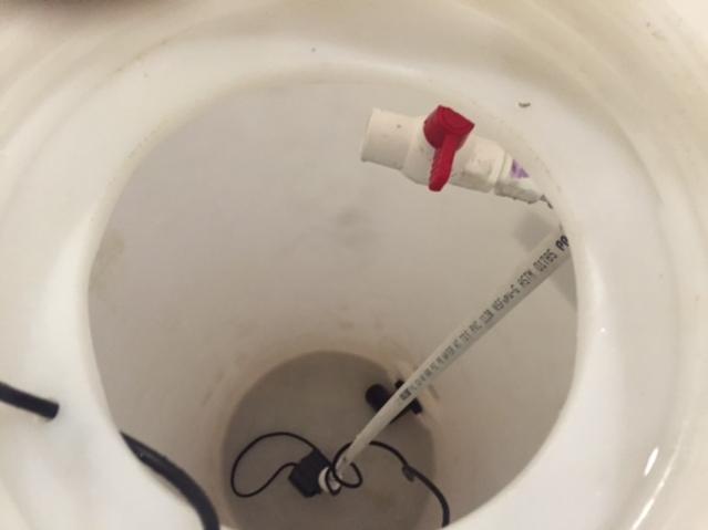 water change inside.jpg