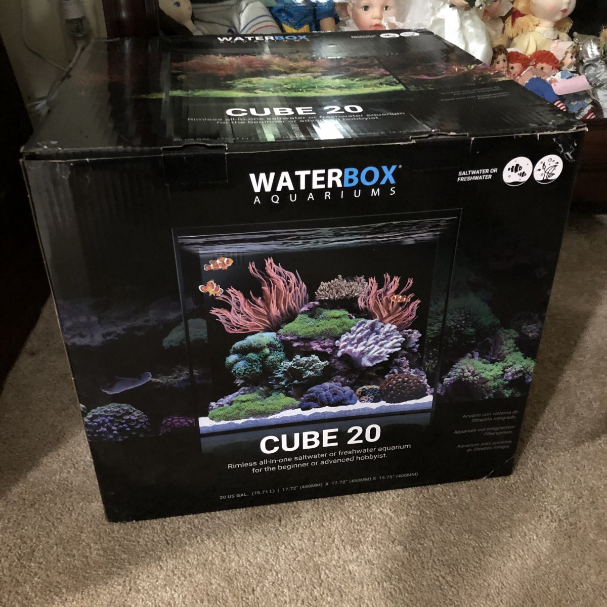 Waterbox 20 - in box.jpg