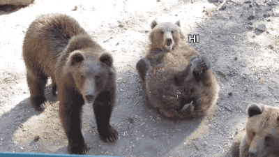 Wave hi.gif