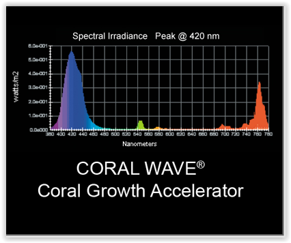 Wave Point Home Page.PNG
