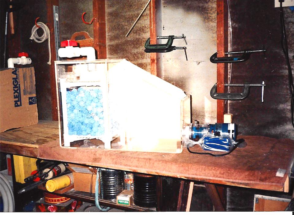 WD0005.jpg