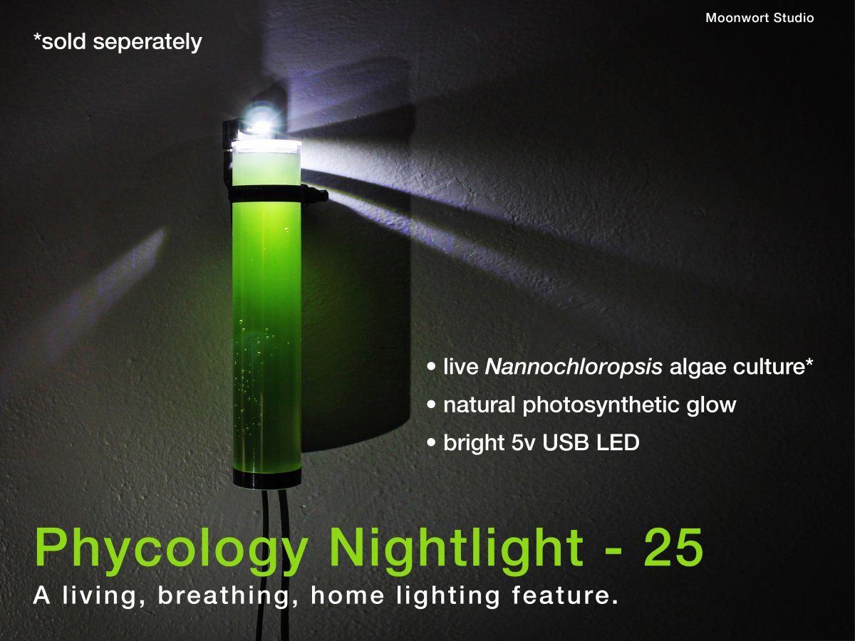 WEB-2-Phycology-Nightlight-poster-II.jpg