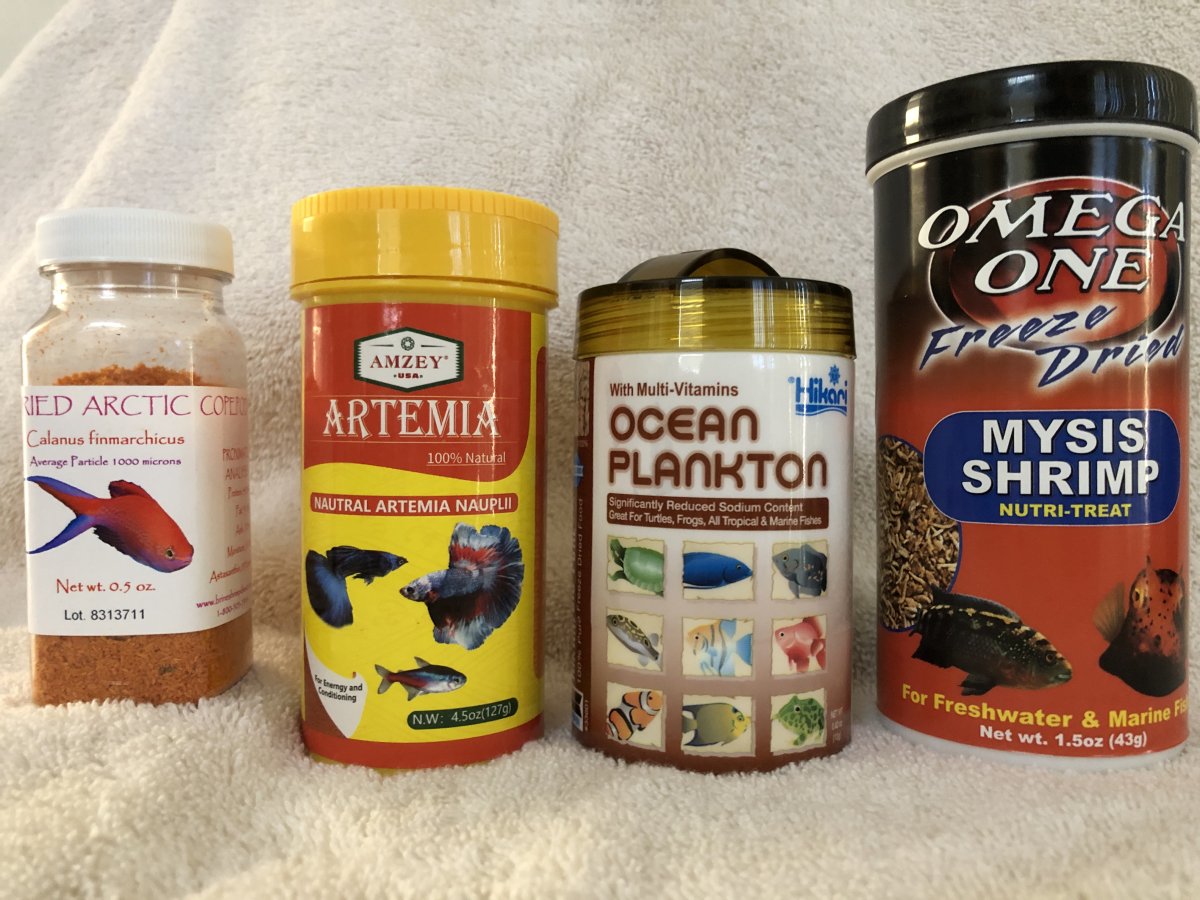 Food for deals freshwater fish