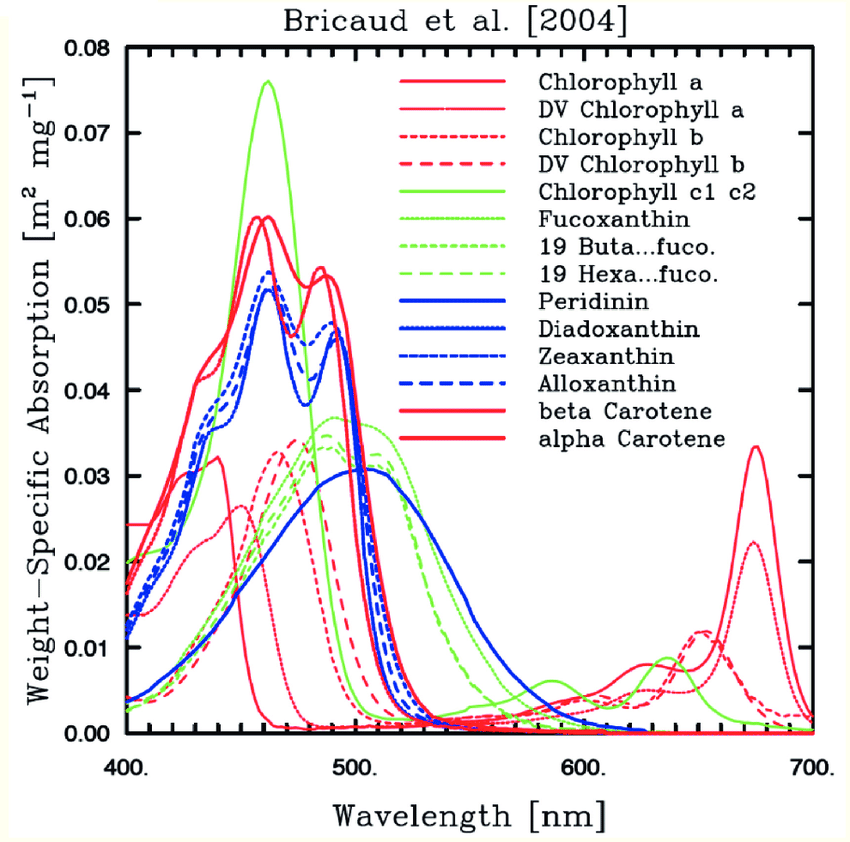 Weight-specific-or-pigment-specific-in-vitro-absorption-spectra-of-various-pigments.png