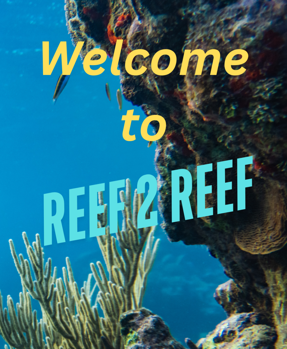 welcome 2.png
