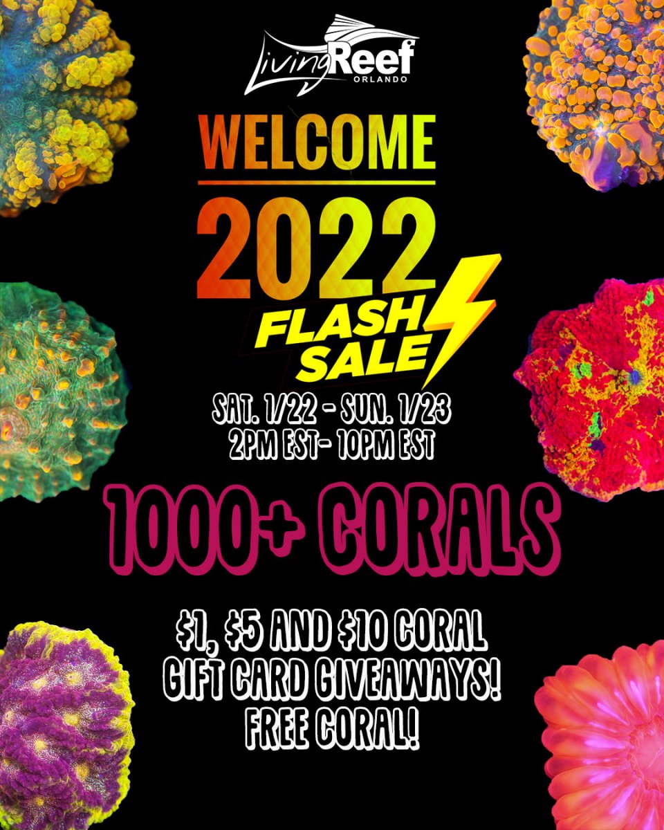Welcome 2022 social copy.jpg