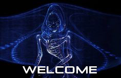 welcome.jpg
