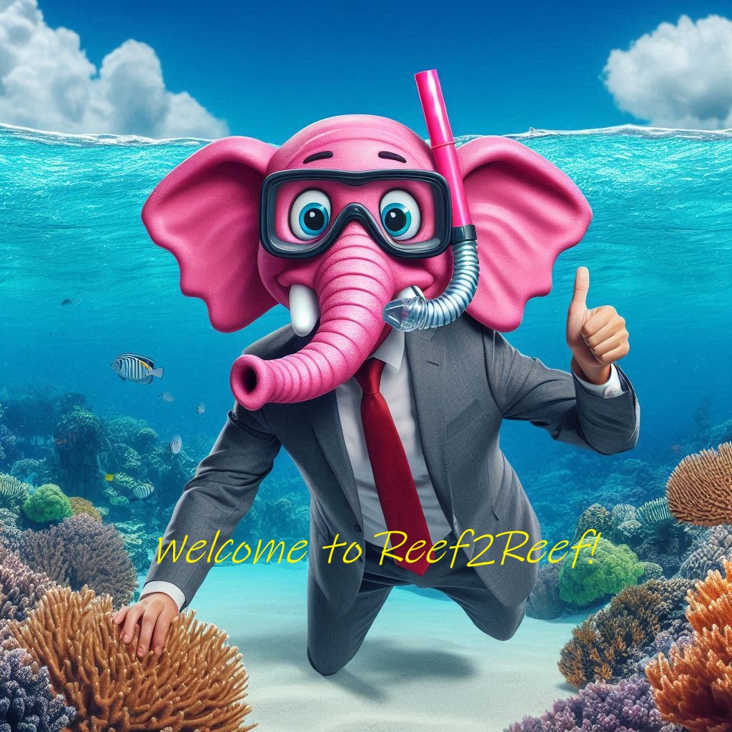 Welcome!.jpg