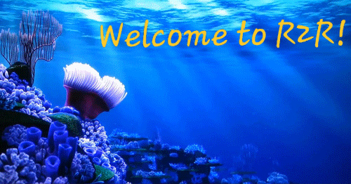 welcome to r2r gentle sunlit reef.gif