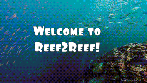Welcome28.gif
