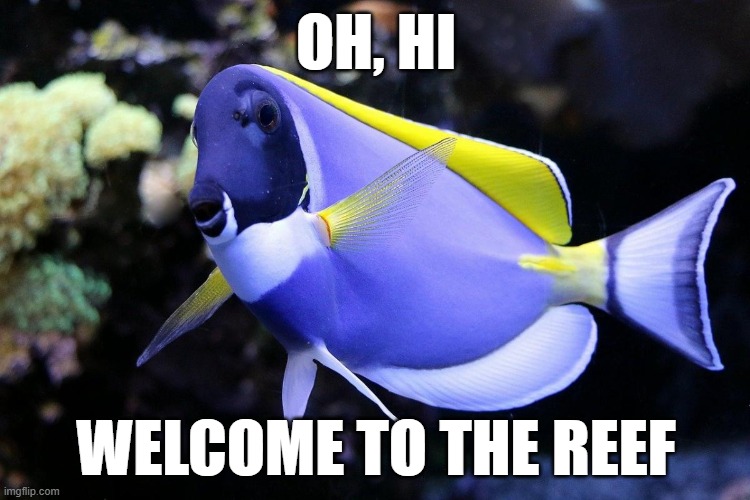 welcome3.jpg