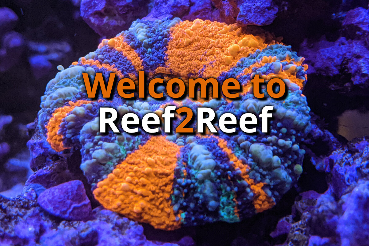 Welcome3.jpg