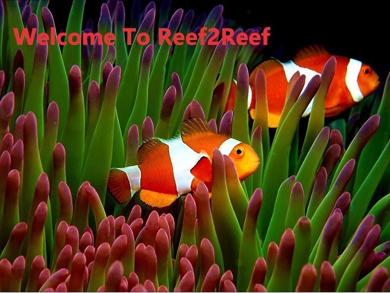 welcome53.jpg