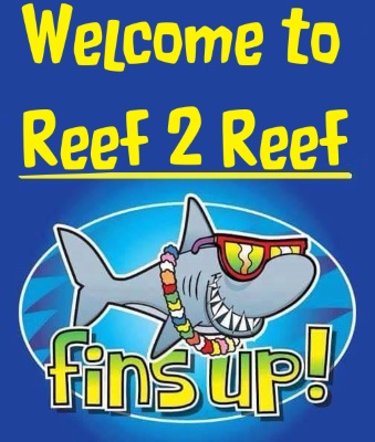 WelcomeFinsUp.jpg
