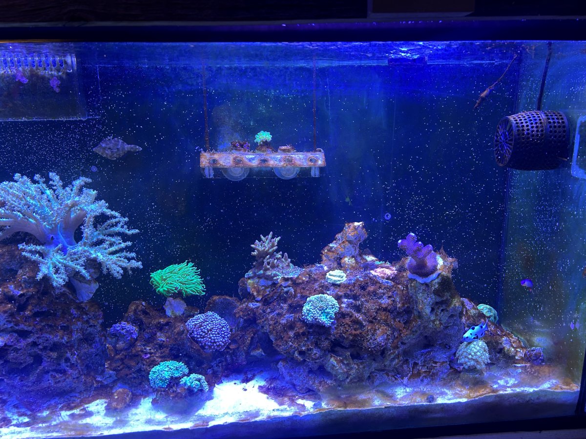 West.jpg