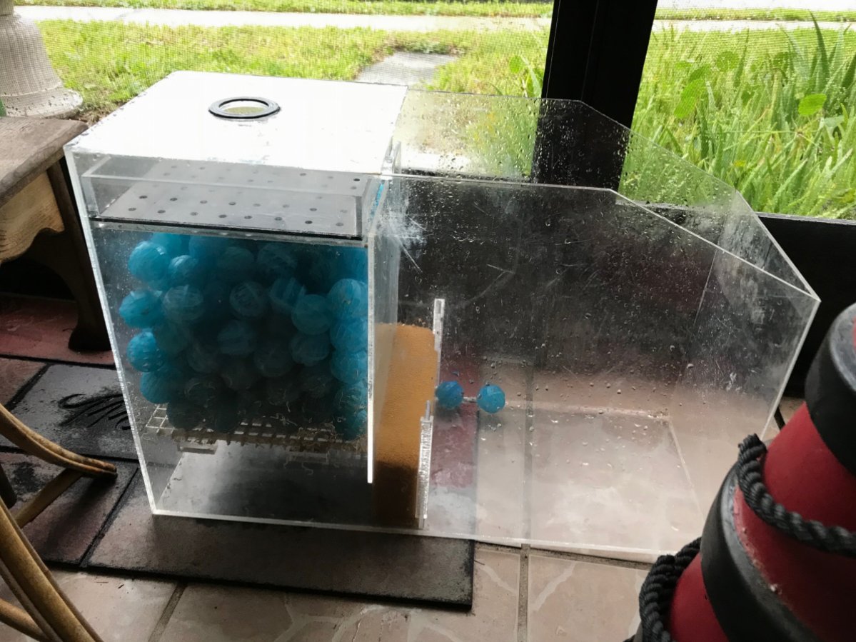 Steps for starting a new sump | Reef2Reef