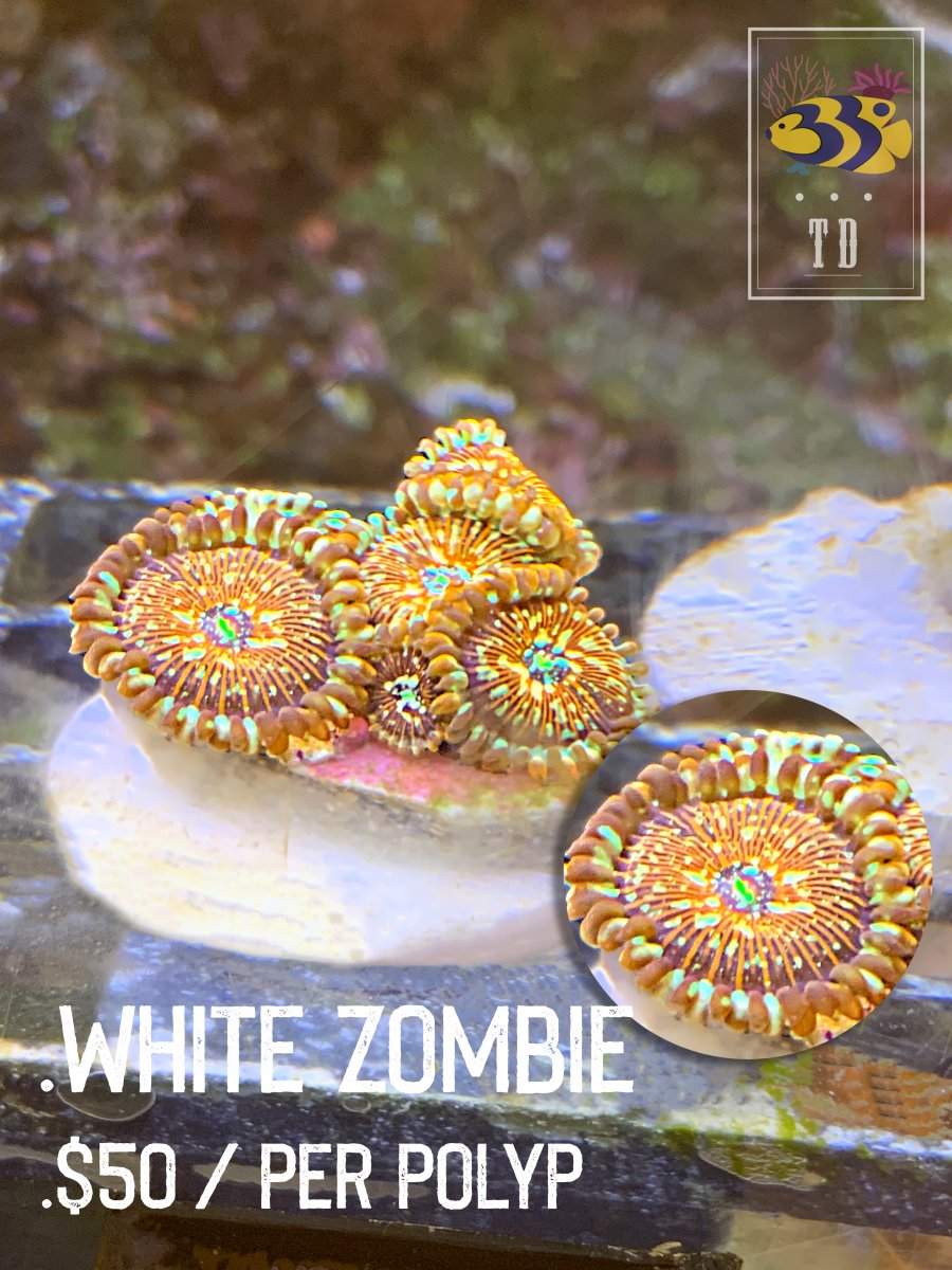 White Zombie.jpg