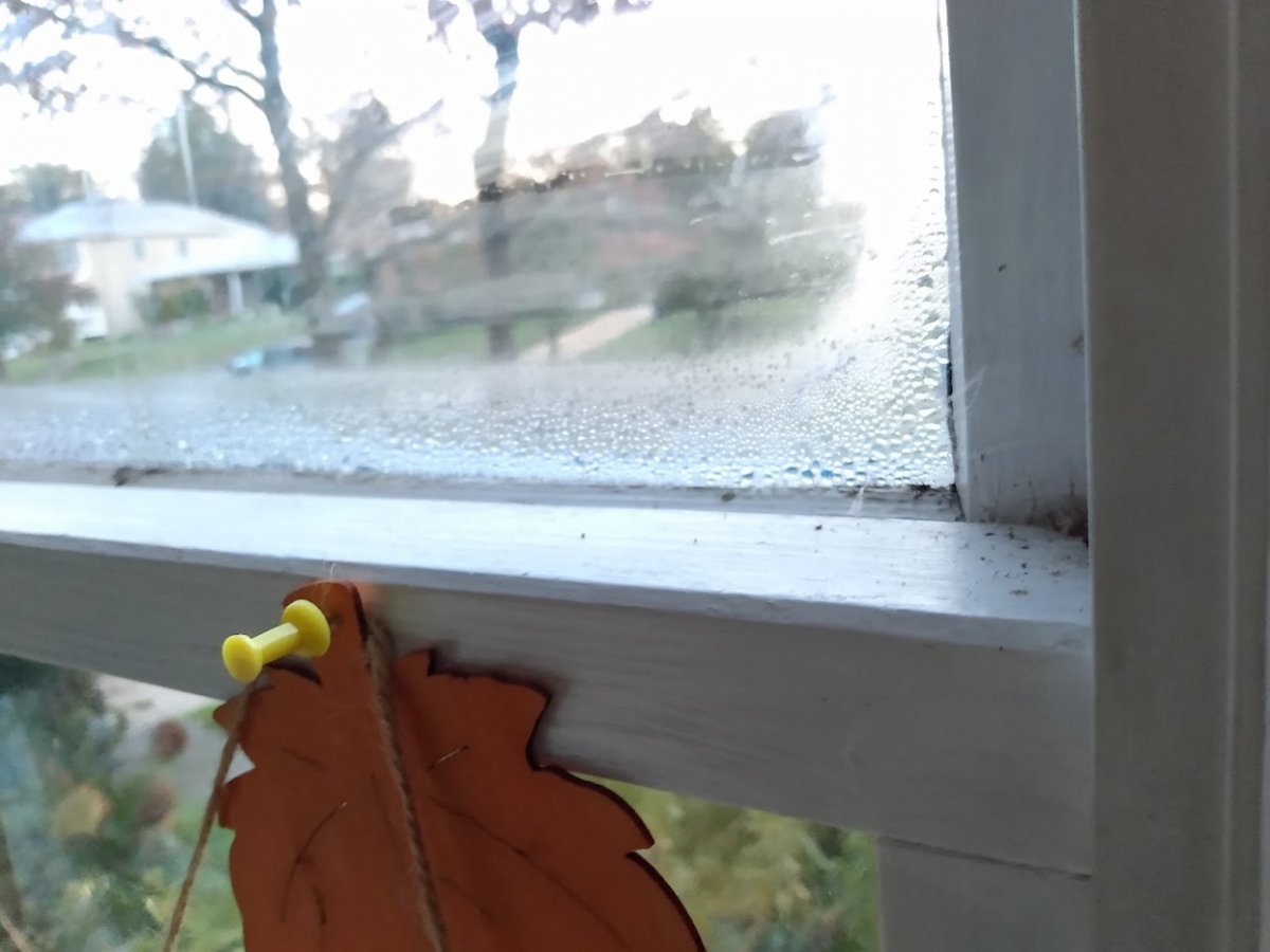 Window Condensation.jpg