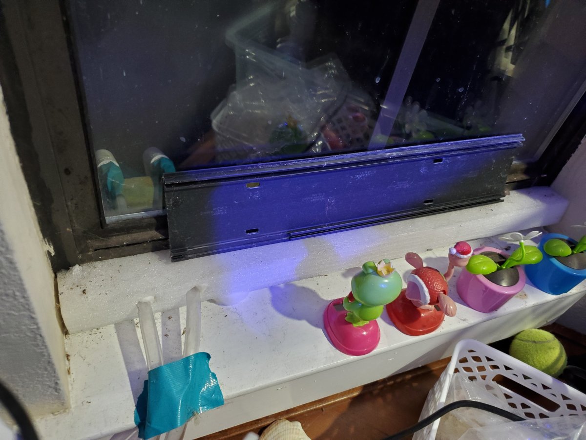 Window Skimmer Input DIY 4.jpg