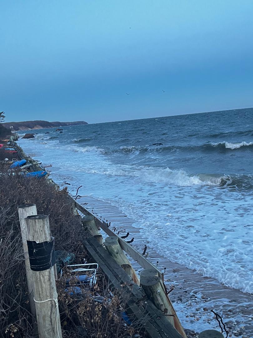 Winter beach.jpg