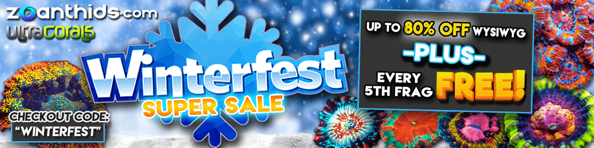Winterfest-Monday-Sale.gif