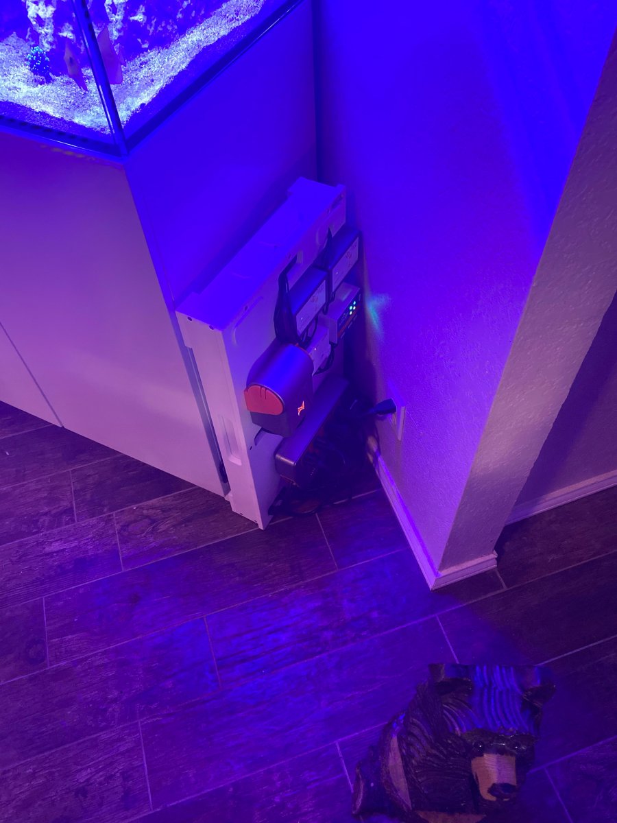 wires 2.jpeg