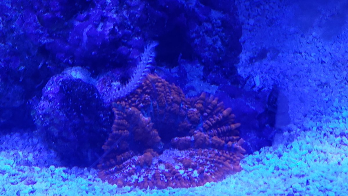 worm.jpg