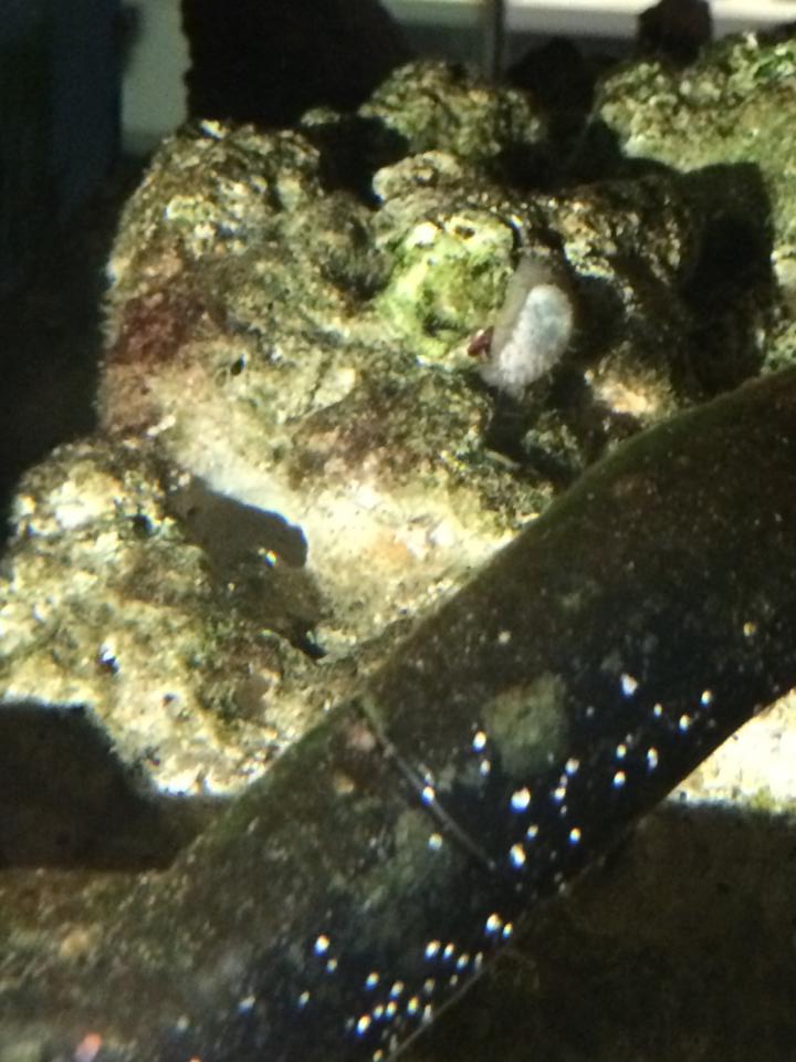 worm.jpg